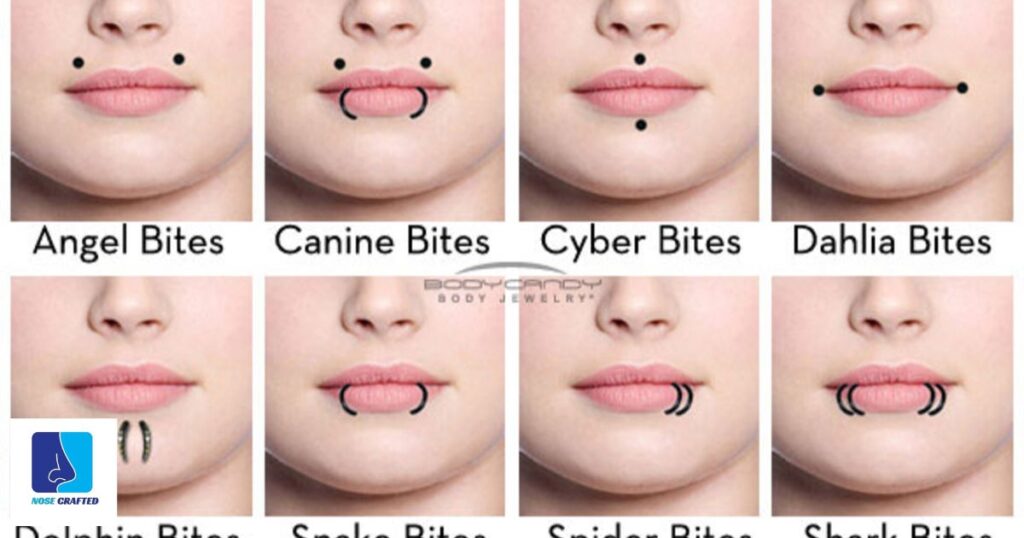 Your Ultimate Guide to All the Different Face Piercings
