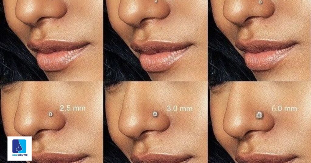 Identifying Different Areas for Nose Piercings