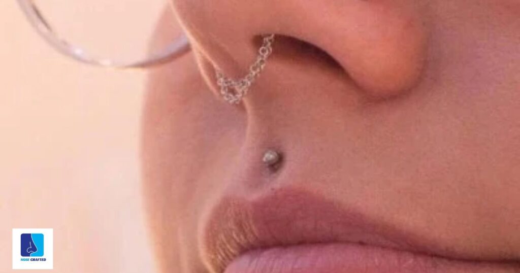 Is it better to get a nose ring or stud