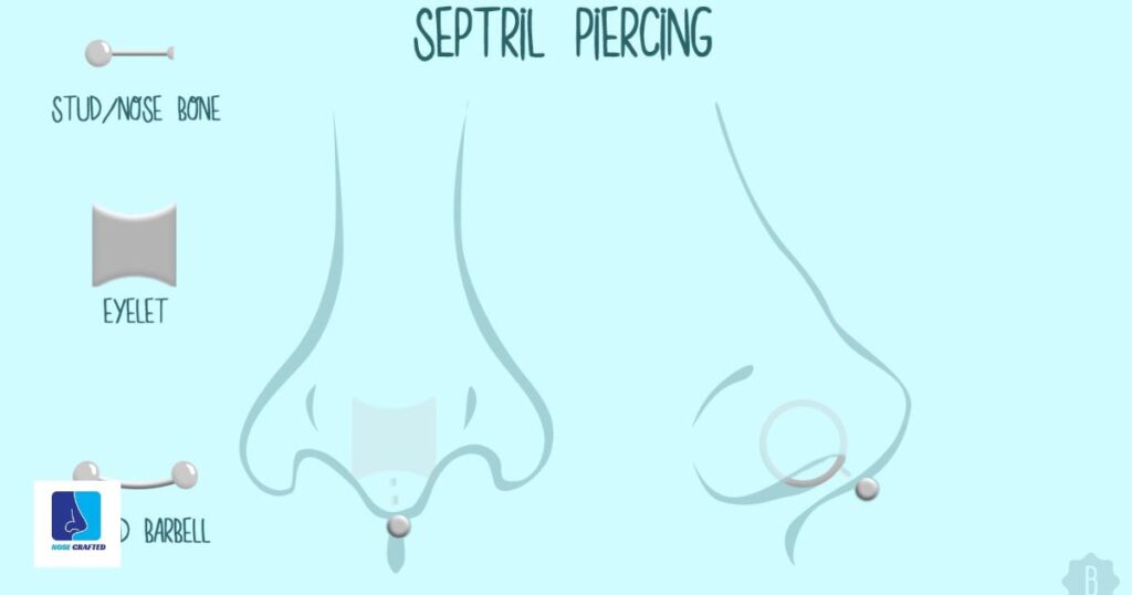 Step-by-Step Guide to Nose Piercing