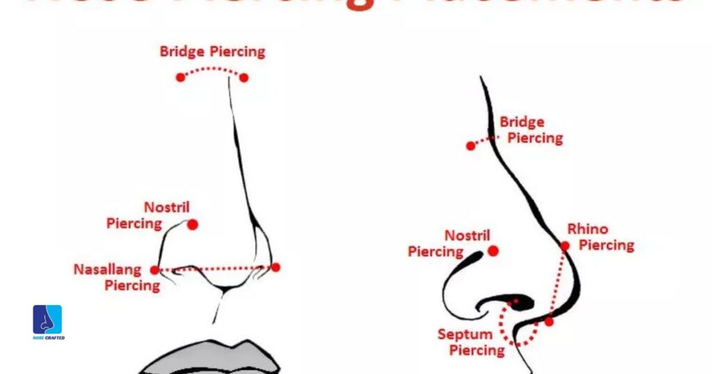 Where To Pierce Your Nose Diagram