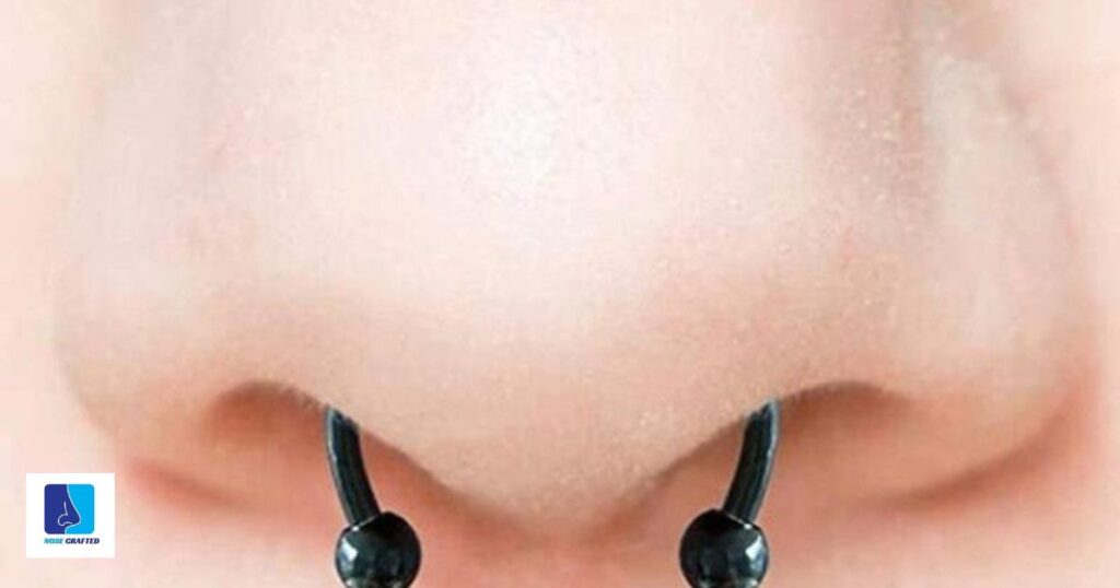 Magnetic Nose Ring Without Piercing