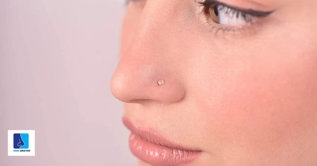 Tiny Gold Nose Stud