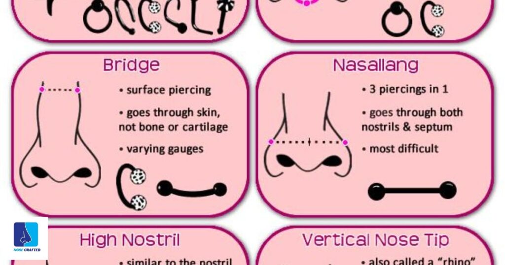 Types of Nose Piercings