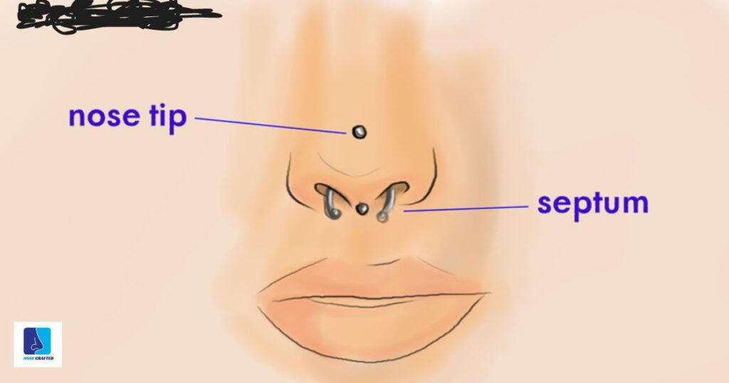 Where To Pierce Your Nose Diagram