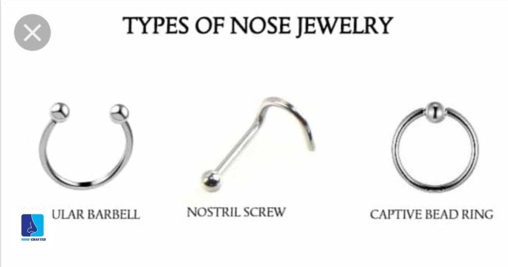 Different Types Of Nose Rings And How To Put Them In