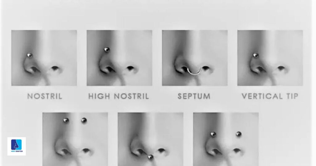 Introduction to Nose Piercings