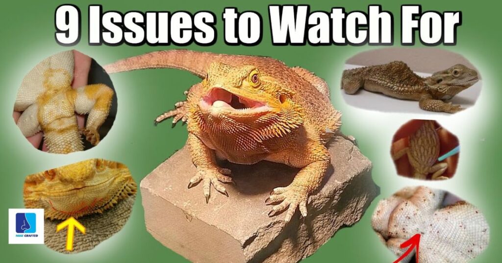 Issues to Watch For