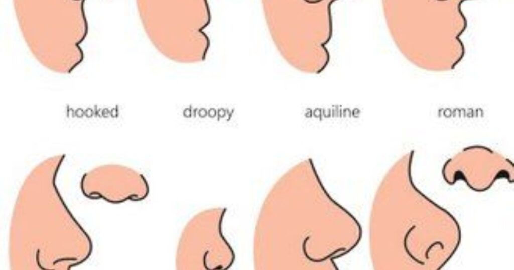 Nose Piercing On Different Nose Shapes