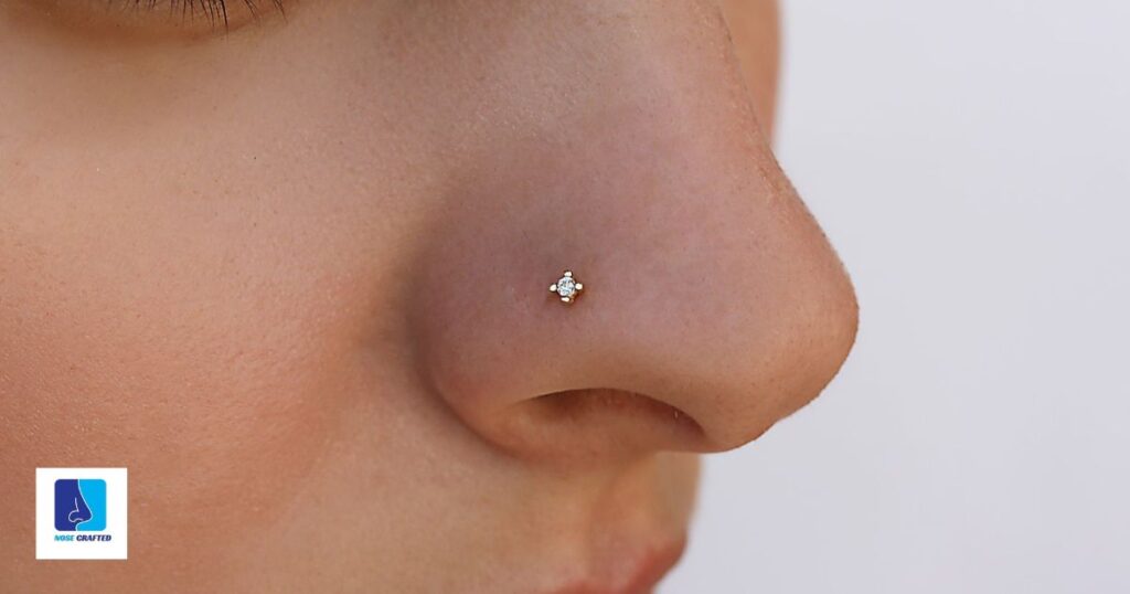 Nose Stud With Flat Back Removal