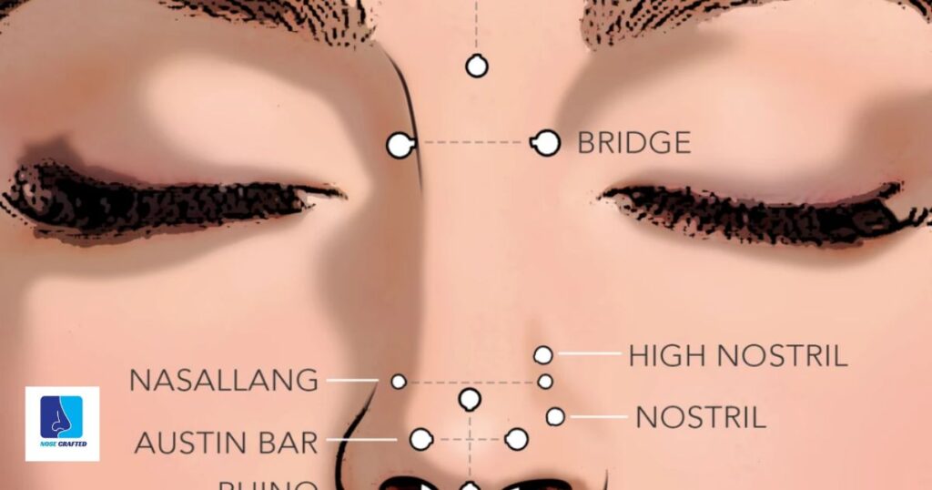 Understanding Nose Piercings